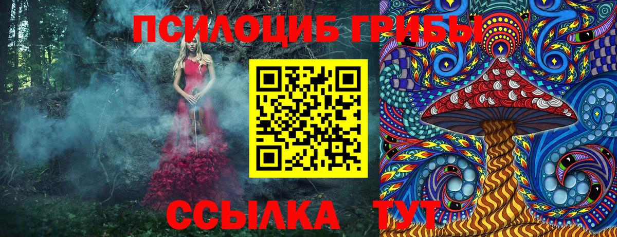 Псилоцибиновые грибы мицелий Ипатово
